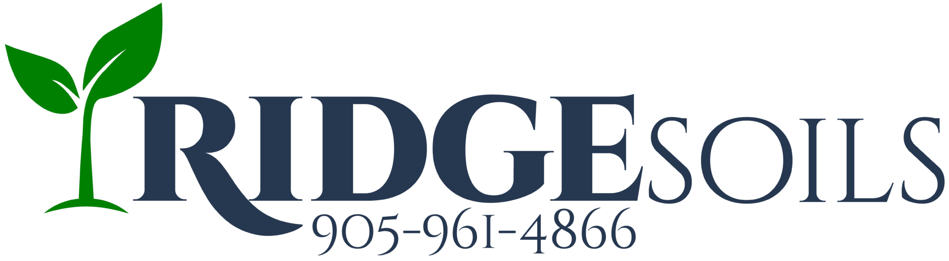 Ridge Soils Logo Design